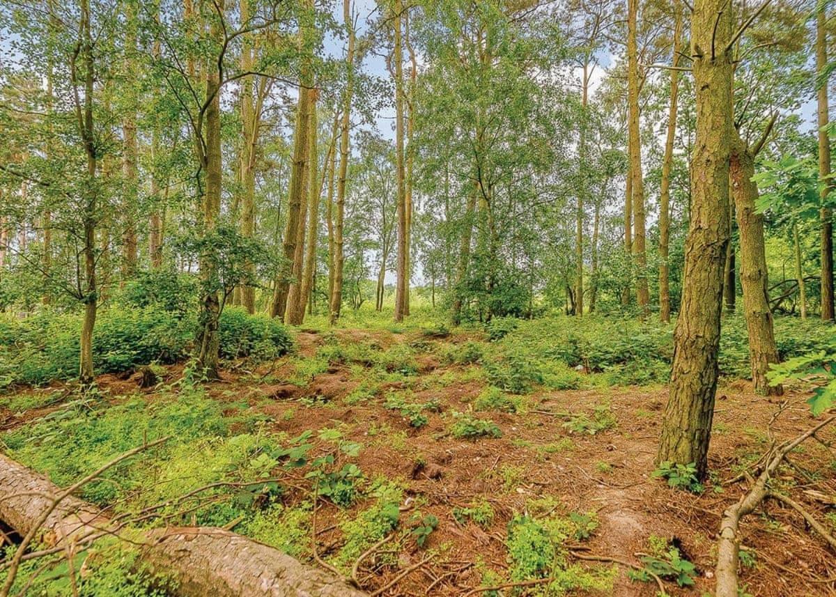 Woodhall Country Park Lodges ウッドホール・スパ エクステリア 写真